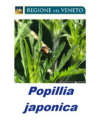 Prevenzione e contrasto del coleottero Popillia Japonica Newman in Veneto – Zona cuscinetto
